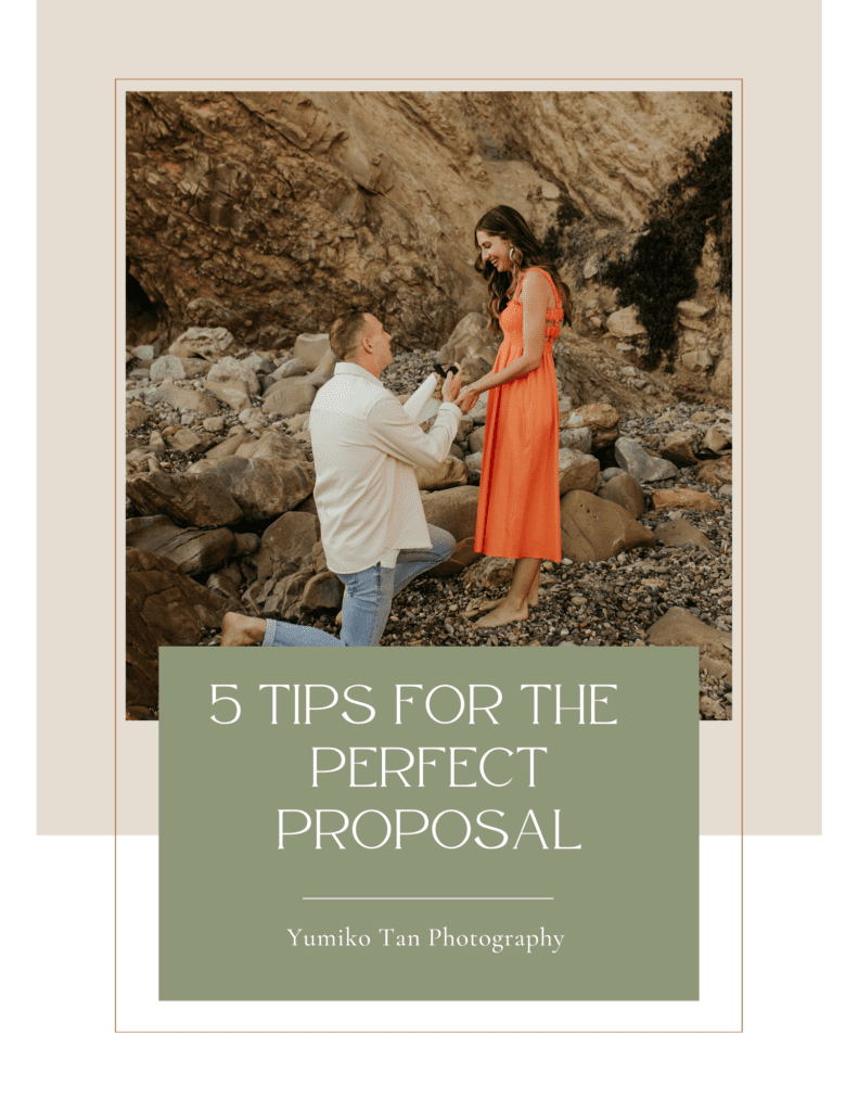 Free guide to the perfect proposal. How to propose to your girlfriend.